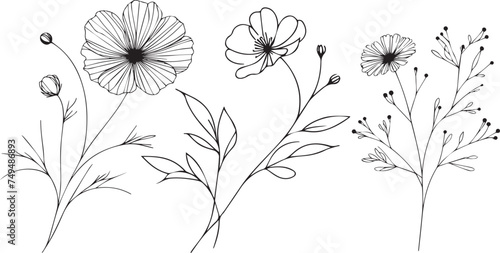 Set of different flower linens on a white background. Minimal thin line floral Flower silhouette white background.
