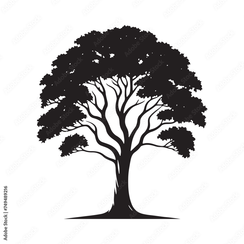 Fototapeta premium A Lone Sycamore Tree Silhouette Bathed in Golden Sunlight - A Timeless Symbol of Enduring Beauty - Illustration of Sycamore Tree - Vector of Sycamore Tree - Silhouette of Sycamore Tree