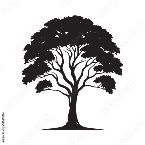 A Lone Sycamore Tree Silhouette Bathed in Golden Sunlight - A Timeless Symbol of Enduring Beauty - Illustration of Sycamore Tree - Vector of Sycamore Tree - Silhouette of Sycamore Tree
