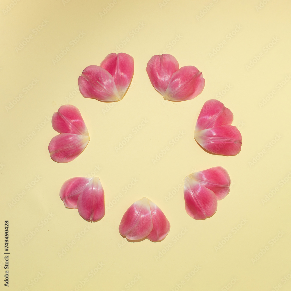 Heart-shaped tulip flower petals arranged in a circle. Minimal concept. Flat Lai.