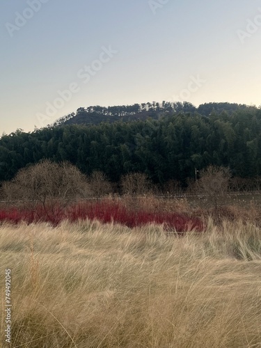 Landscape