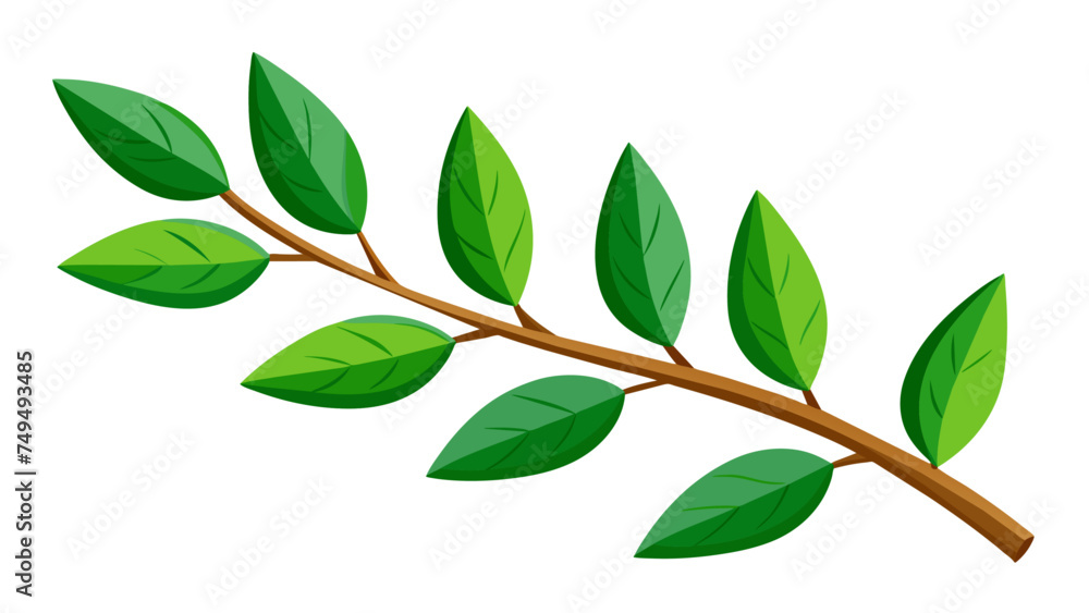 branch with leaves branch with leaves