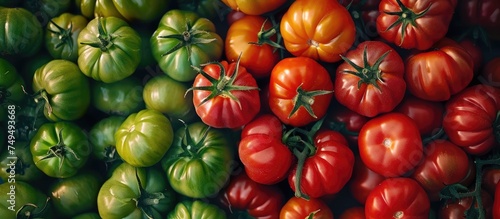 An up-close view showcasing a diverse assortment of tomatoes in different sizes, shapes, and colors, including green, red, and ripe ones. The tomatoes are displayed in a vibrant and visually