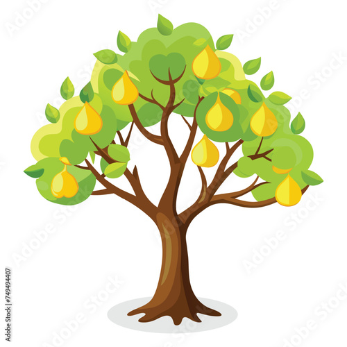  Pear tree Isolated flat vector illustration.