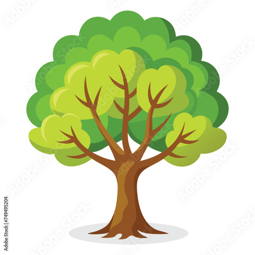 Walnut tree Isolated flat vector illustration