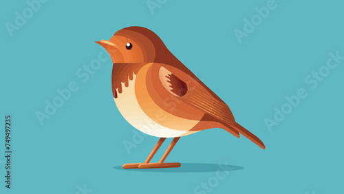 Flat Design Robin Vector Illustration  photo