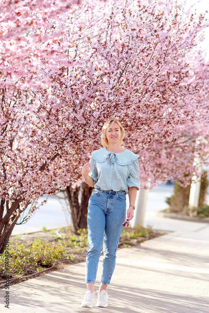 young woman traveler looking cherry blossoms or sakura flower blooming young woman traveler looking cherry blossoms or sakura flower blooming