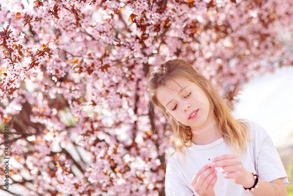 sakura or cherry blossom in spring season with full bloom pink flower travel concep sakura or cherry blossom in spring season with full bloom pink flower travel concep