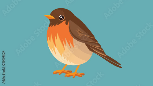 Flat Design Robin Vector Illustration  photo