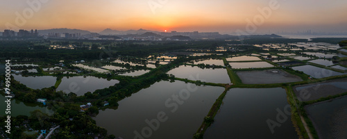 Tai Sang Wai Drought Fish Ponds