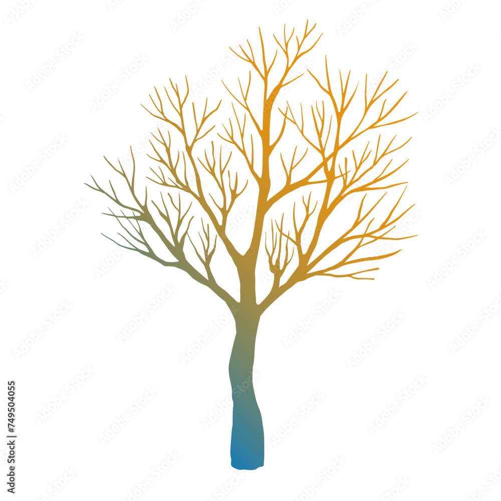 Obraz premium Leafless winter tree. Hand drawn sketch. Line art. Colorful design element on white background. Isolated. Tattoo image.