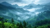The mountains are covered in mist in the morning, an amazing nature scene from Kerala's God's own Country. This is a type of nature image that shows a relaxed and fresh lifestyle.