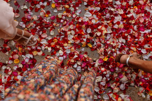 Obraz na plátně Femmes marchant sur un tapis de pétales de roses rouges