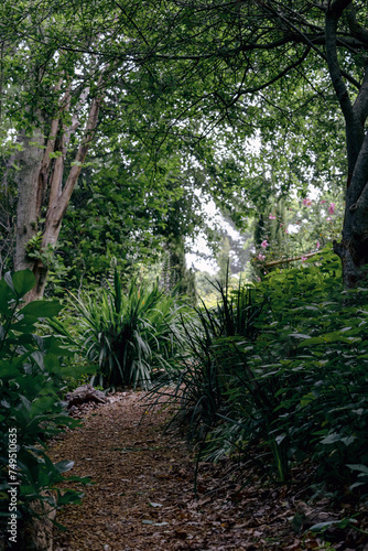 Equipped path in the botanical garden at summer day. Nature wallpaper  trees and bushes