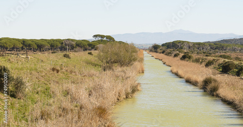 views of the beach inside the Parco dell'Uccellina, Grosseto, Tuscany, Italy