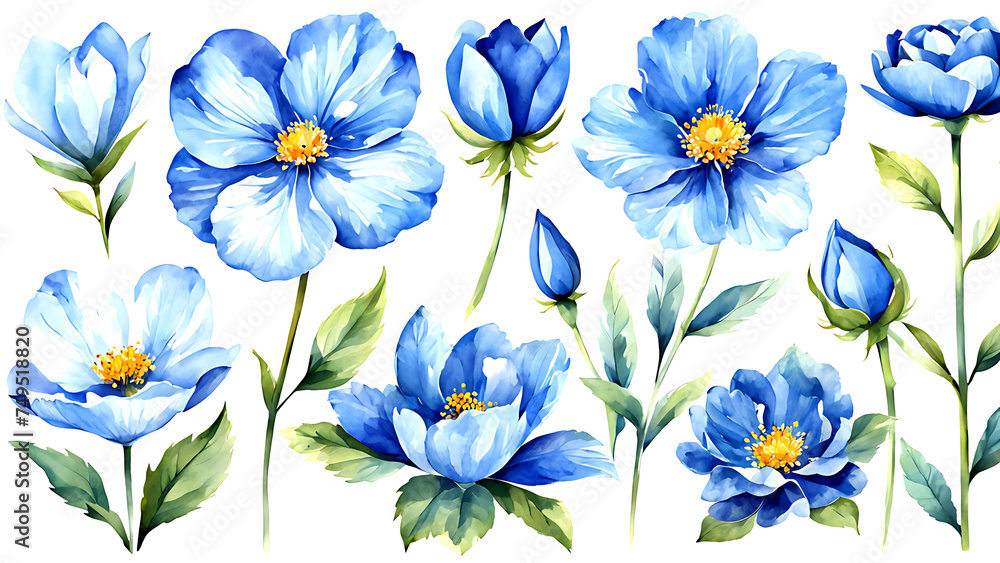 Large blue flowers with a white outline. watercolor illustrations highlighted on a white background