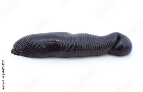 One big black leech.