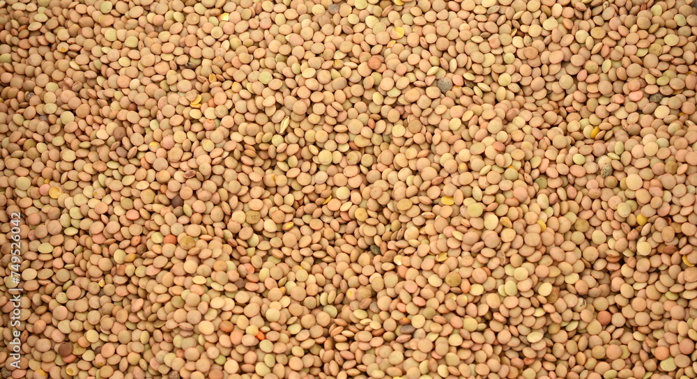 A large mound of lentils is green. Top view, close-up.Dry lentils close up background. A large mound of lentils is green. Top view, close-up.Dry lentils close up background.