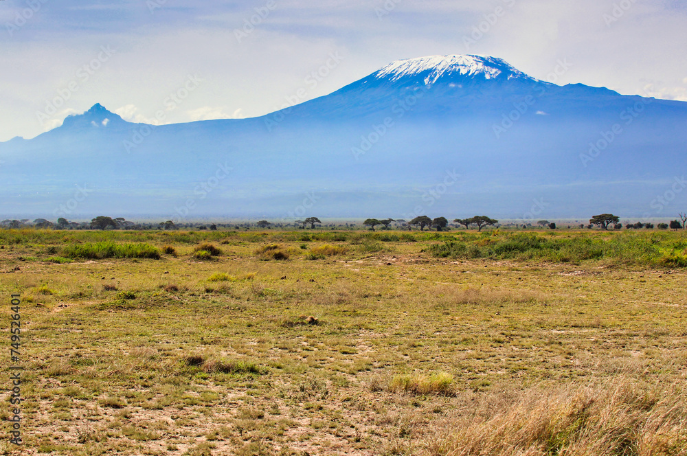 Mount Kilimanjaro towers over the vast Amboseli national park savanna providing a picture perfect backdrop to a classical African scene.