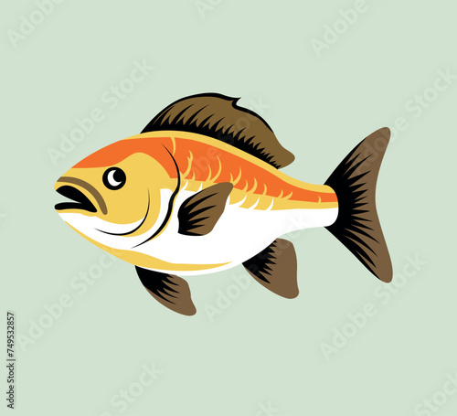 aquarium fish vector illustration