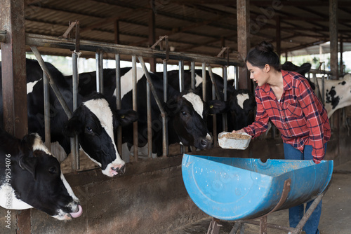 Agriculture industry in Asian, dairy farming, livestock, animal health and welfare. Asian farmer woman working in livestock dairy farm cowshed