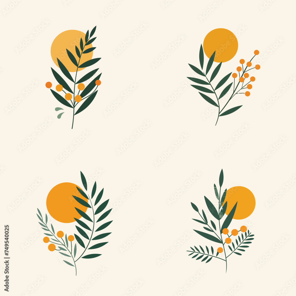 vector set of feathers, plant vector set, plant logo design set, vector illustration, plants feather