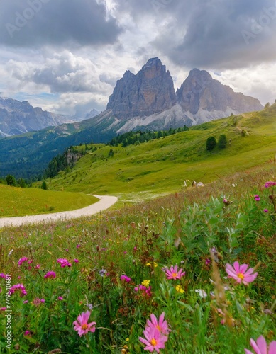 Beautiful landscape of the Dolomite Alps, meadow and mountains. Mountain meadows with flowers © Marko