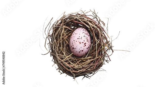 Birds Nest With Pink Egg