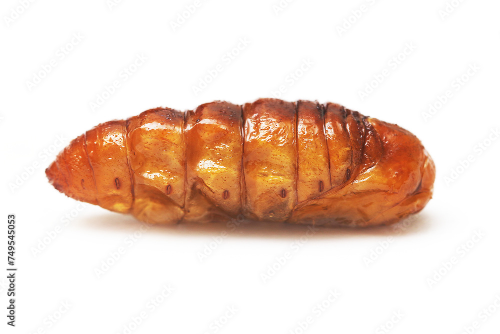 Fried worms isolated white background Fried worms isolated white background