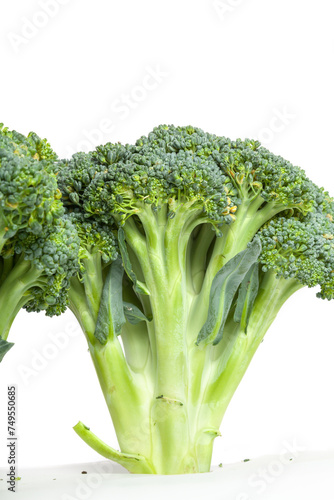 Two heads of broccoli on a white background....