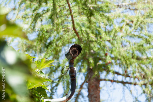 Video surveillance camera on green tree background....