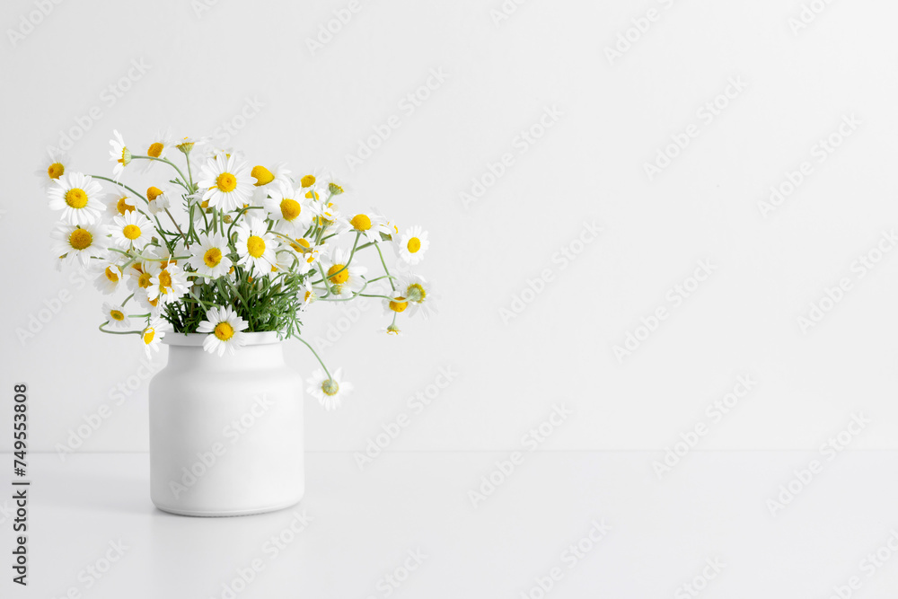 White chamomile flowers in a white pot. Bouquet of small fresh daisy flowers in vase on background of white wall. Elegant floral arrangement with wildflowers. Copy space, front view White chamomile flowers in a white pot. Bouquet of small fresh daisy flowers in vase on background of white wall. Elegant floral arrangement with wildflowers. Copy space, front view
