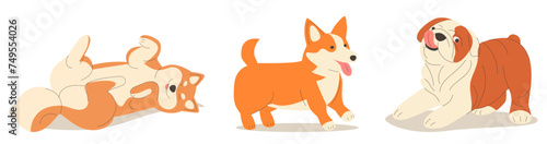 Cute dogs doodle vector set. Cartoon dog or puppy characters design collection with flat color in different poses.