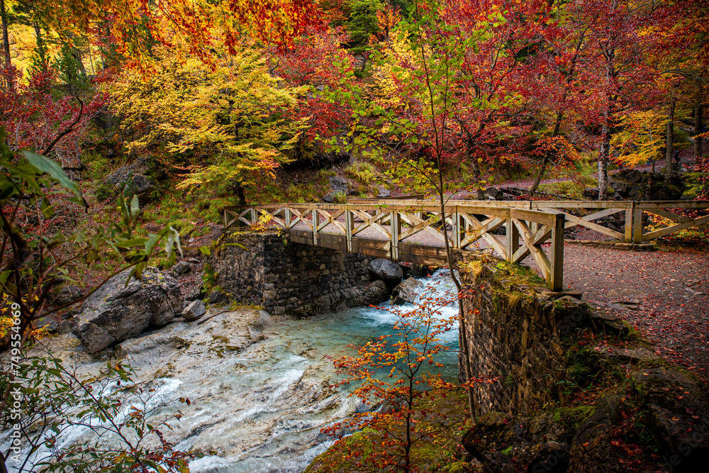 Autumn landscapes of Ordesa and Monte Perdido: the Arazas river among forests of fire, a natural masterpiece in the Aragon Pyrenees.
Autumn landscapes of Ordesa and Monte Perdido: the Arazas river among forests of fire, a natural masterpiece in the Aragon Pyrenees.