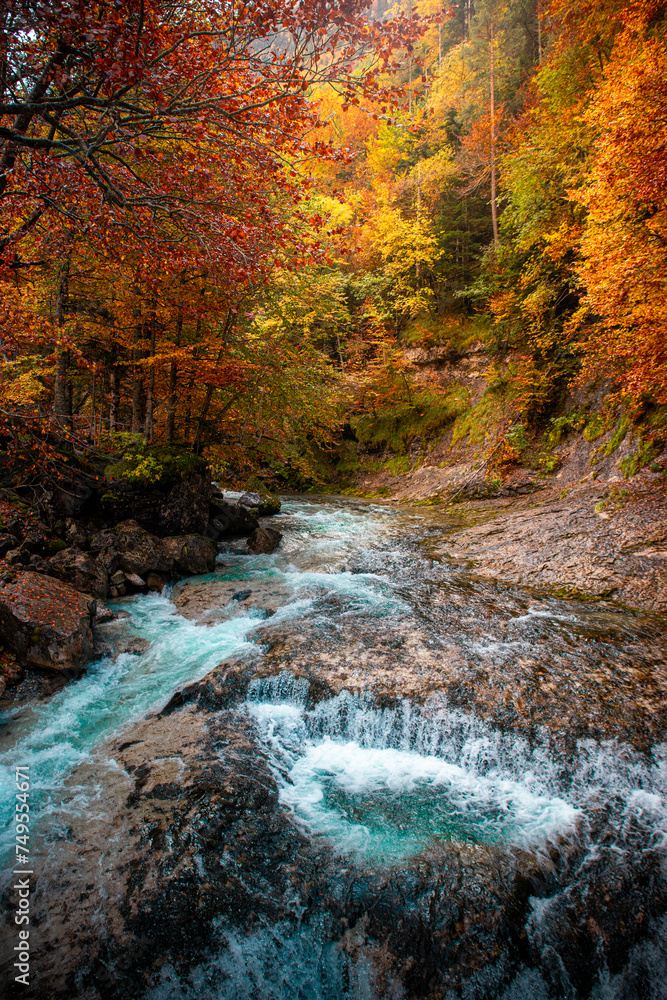        Autumn in Ordesa and Monte Perdido: the Arazas river meanders through the orange trees, a vibrant postcard of nature in the Aragon Pyrenees.                        