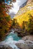 Between the golden forest of Ordesa and Monte Perdido: the Arazas river breaks through, a breathtaking picture of nature in autumn, in the Aragonese Pyrenees.
