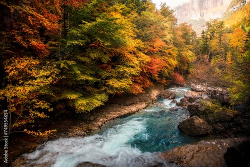 Autumn treasures in Ordesa and Monte Perdido: the Arazas river shines among the warm colors of the forest, a natural jewel in the Pyrenees of Aragon.
 photo