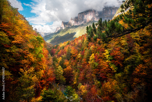 Autumnal splendor in Ordesa and Monte Perdido: the Arazas river peeks through the golden forest, a gift of nature in the Aragonese Pyrenees.  © Adrian