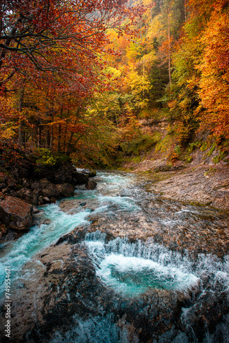  Autumn in Ordesa and Monte Perdido: the Arazas river meanders through the orange trees, a vibrant postcard of nature in the Aragon Pyrenees. 
