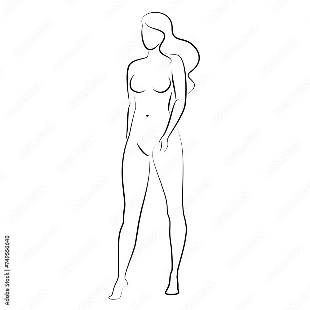 Fototapeta premium Silhouette of a nice lady, she is standing. The girl has a beautiful naked figure. The woman is a young sexy and slender model. Vector illustration.