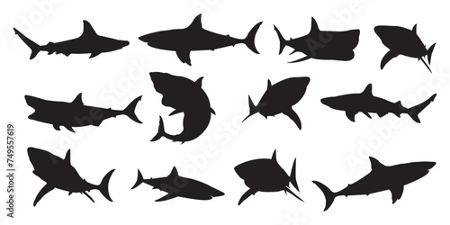 sharks in silhouette vector set or silhouette of fishes, Shark black silhouette set,