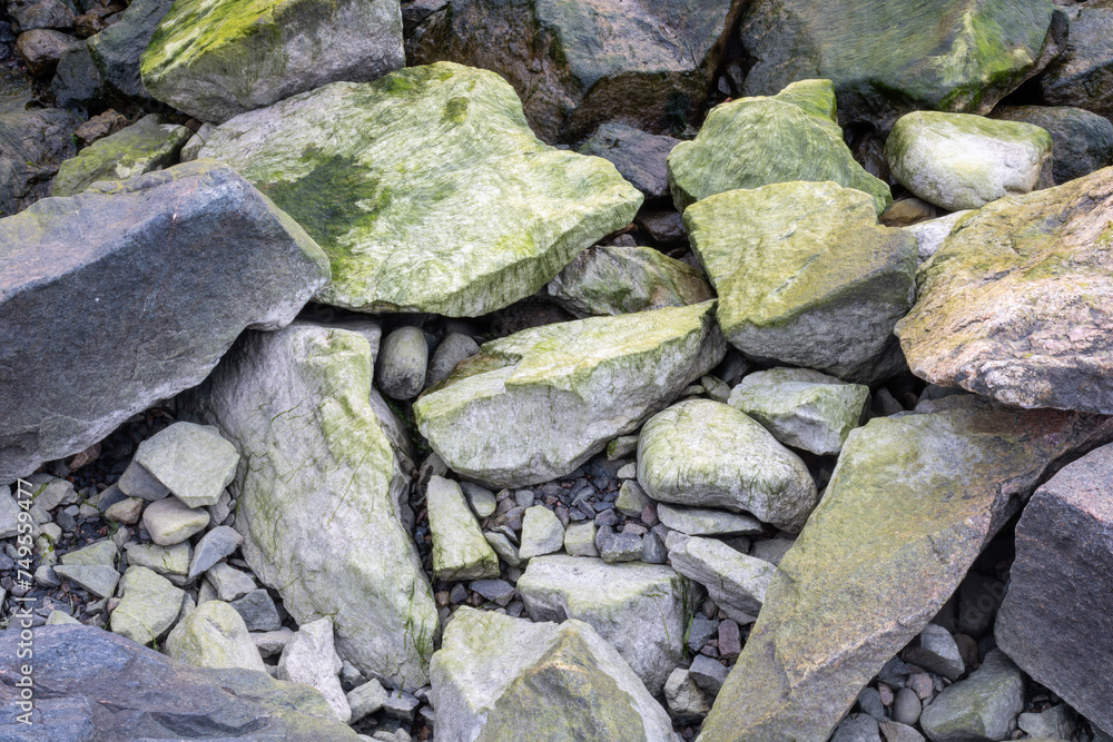 Closeup of rocks with bits of algae