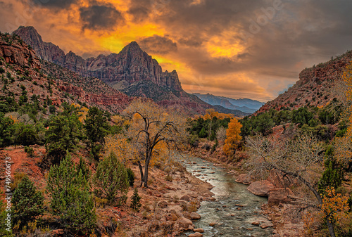 Foto Zion National Park