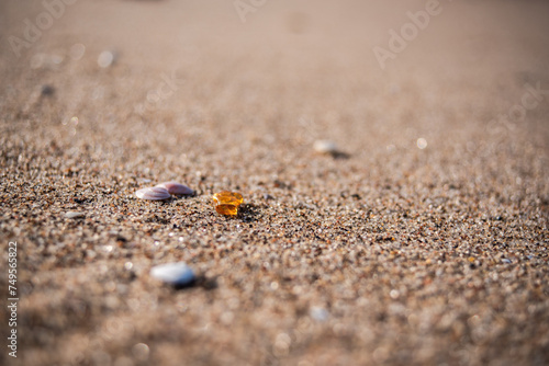 Small pieces of amber lying on the sand beach in a sunny day