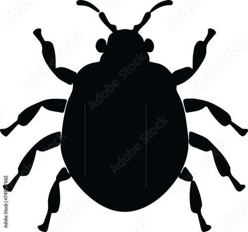 bedbug silhouette