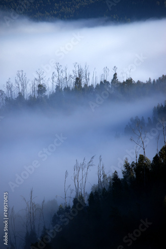 Misty Mountain landscape with clouds