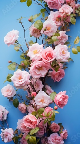Beautiful spring border, blooming rose bush on a blue background © CREATIVE STOCK