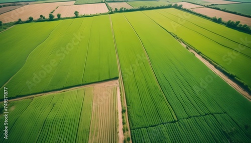 drone-camera-aerial-view-of-cultivated-agricultural-farming-land-with-vivid-green-color