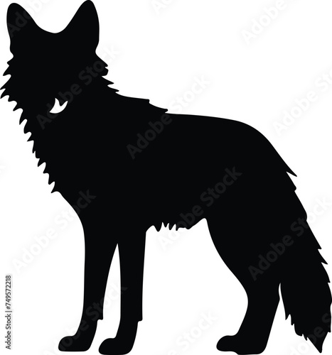 coyote silhouette