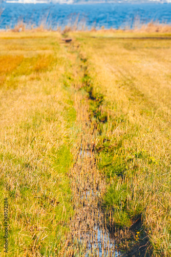 path in the field  sloot in spring